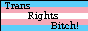 Trans Rights Bitch!!